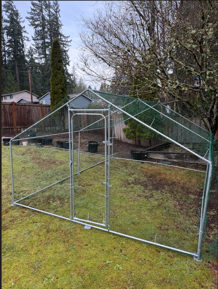 31333 的活动描述图片